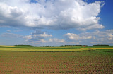 8010DSC_2763.jpg