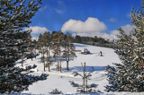 2008
