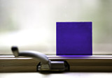 A Shape and a Color