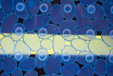 Bath Mat Variation #1