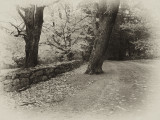The Black House Drive