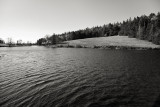 Field Across Little Long Pond from the Boathouse