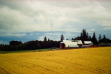 Pacific Northwest