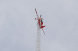 Extra 300L