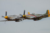 Mustangs