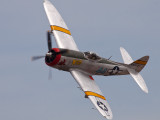 Republic P-47D Thunderbolt Wicked Wabbit