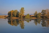 Pond Vrbje ribnik Vrbje_MG_2929-1.jpg