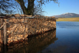 Inundation, flood poplava_MG_5188-1.jpg