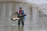 Fisherman ribič_MG_5959-11.jpg