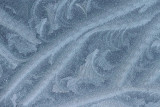 Ice flowers ledene roe_MG_8846-11.jpg