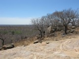 View from up top