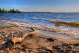Driftwood and beach, Chervona Sloboda