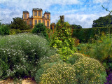 Garden greenery, Hardwick Hall (3903)