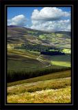Forest road, Cairngorms, Scotland