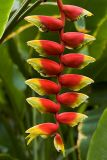 Red and yellow thingy, Eden Project, Cornwall