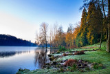 Blues and greens, Stourhead