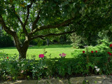 From the patio