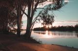 Renmark, sunrise