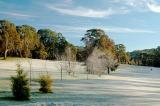 Frosty golf