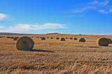 Rolled Hay in Eastern Washington