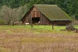Morrell's Barn from Dad's field