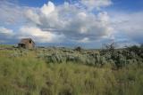 Abandoned Homestead near Mansfield Washington