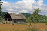 Barn In Willapa Valley ( Near Menlo)
