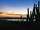 Sunset Near Todos Santos