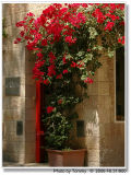 Jerusalem the holy city 4.JPG