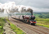 6201 at Scout Green.jpg