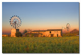Amanecer en los molinos - Sunrise at the windpumps