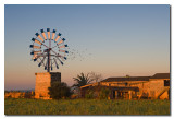 Amanecer en los molinos - Sunrise at the windpumps