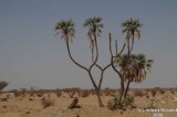 001-Wahba Crater.jpg