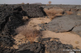 015_Lava_fields.jpg