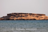 AlWajh_012.jpg