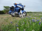 BlueInBlue 004a.JPG