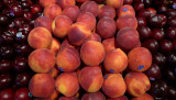 FRUIT - ISO 200