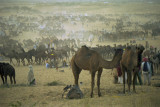 Rajasthan - India