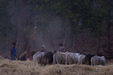 Kawardha - Chhattisgarh - India