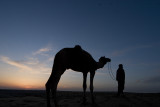 Jaisalmer, Thar Desert camel safari