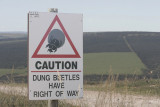game park, outside Port Elizabeth