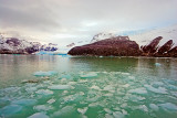 El Calafate, glaciers