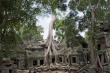 angkor wat, Ta Prohm