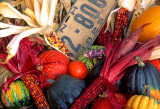 Fall bounty, farm stand, North Sutton, NH