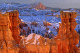 Along the Navajo Loop trail, Bryce Canyon National Park, UT