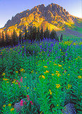 Yankee Boy Basin, Rocky Mountains, CO