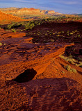 Asymmetrical ripple marks in the Moenkopi Fm., Capitol Reef National Park, UT