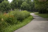 Parc Lafontaine PICT3157.jpg