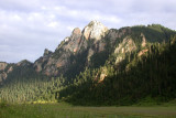 Nangqiang Forest Reserve, Qinghai