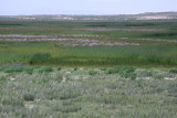 Close to Koko Nor Lake, Qinghai